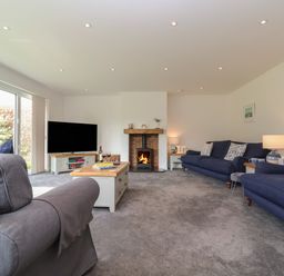 A living room with blue sofas a fireplace and a large TV at Little Chapter in Walberswick