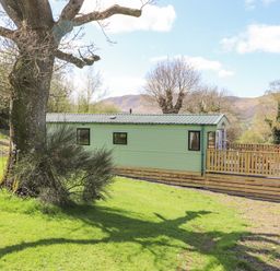 A green mobile home with a wooden deck beside a large tree on a grassy area at Swinside in Lorton
