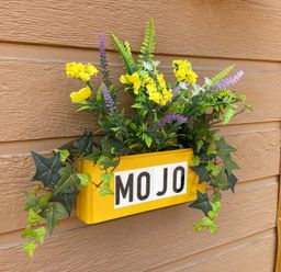 A planter with yellow purple and green plants on a wooden wall at Mojo in Mullacott near Ilfracombe