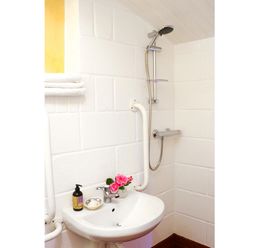 A bathroom corner with a white sink with a faucet soap dispenser and pink flowers next to a wall-mounted shower with a handheld showerhead and white safety grab bars