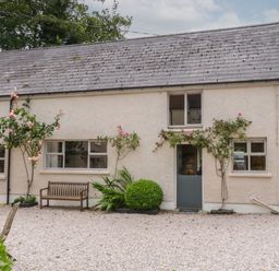 Exterior of a beige stucco house with a gray door and windows with rose plants growing beside the door at The Old Rectory Coach House in Rathmullan County Donegal
