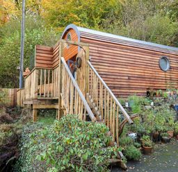 A wooden cabin with circular windows and a staircase surrounded by plants at The Kites Nest in Pont-rhyd-y-groes near Pontrhydfendigaid Snowdonia