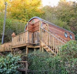 A wooden cabin with a deck and stairs surrounded by trees and bushes at The Kites Nest in Pont-rhyd-y-groes near Pontrhydfendigaid Snowdonia