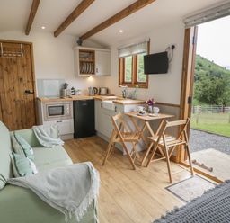 A small kitchen and living area with a green sofa a wooden table and chairs and a door open to a garden at Tan Y Castell Shepherds Hut in Llangollen