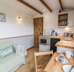 A small kitchen and living area with a wooden door wooden beams and a green sofa at Tan Y Castell Shepherds Hut in Llangollen