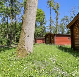 A grassy area with wildflowers and trees near wooden cabins at 64 Acorn Lodge Kenwick Park in Louth