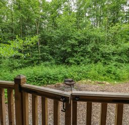 An outdoor view of trees and bushes from a wooden fence at The Leveret in Eppleby