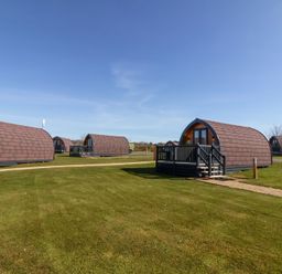 Multiple pod-style cabins on a grassy area under a clear sky at Owls Nook in Kilkhampton