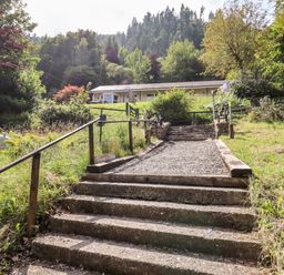 A gravel pathway with steps and wooden handrails leading up to a single story house surrounded by trees and grass at Trem Y Don in Dolgarrog
