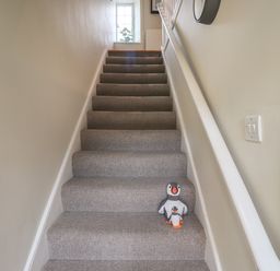 A carpeted staircase with two penguin toys on one step at Grebe Cottage in Alnmouth