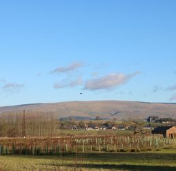 A rural landscape with fields trees hills and farm buildings at Luham Cottage Edenhall near Langwathby
