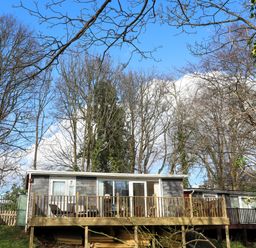 A small cabin with a wooden deck surrounded by trees at Treetops in Caernarfon