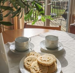 A dining table with a white vase with leaves two empty cups and saucers and a plate of biscuits at Treetops in Caernarfon