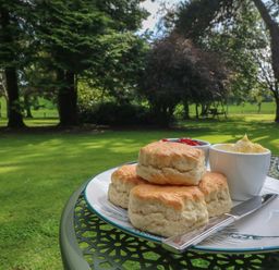 A plate with scones jam clotted cream and a knife on an outdoor table in a garden at Fern Bydown near Barnstaple