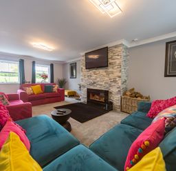 A living room with sofas and a fireplace at Parc Y Deri in Rhos-y-garth near Aberystwyth