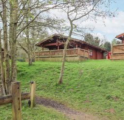 Wooden cabins with fenced porches on a grassy hill surrounded by trees at 24 Lakeside Drive in Felton