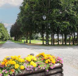 A pathway lined with trees and a flower bed with yellow and purple flowers at Swan in Shobdon