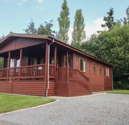A wooden cabin with a porch and stairs surrounded by trees at Daffodil in Eardisland