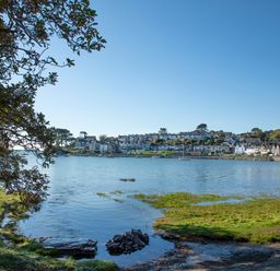 A waterfront view of houses and buildings across a body of water with trees in the foreground at Bwthyn in Borth-y-Gest near Porthmadog