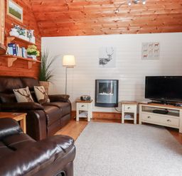 A living room with dark leather sofas a wall-mounted electric fireplace a television on a stand and wooden walls at Trout River Retreat Clifford Bridge near Moretonhampstead