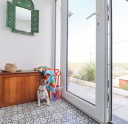 A small dog sitting on patterned tile floor next to a wooden bench with a hat and colorful towel beside a glass door with outdoor view at Higher Bolenna in Perranporth