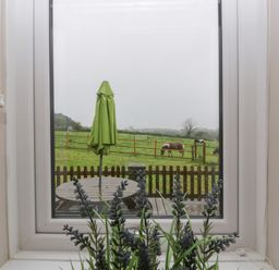 A window looking out onto a fenced garden with a round wooden table and closed green umbrella with horses grazing in the background at Myrtle Cottage in St Brides-Super-Ely
