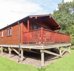A wooden cabin on stilts with a covered porch and railing surrounded by grass and trees at Teign River Retreat in Drewsteignton near Moretonhampstead