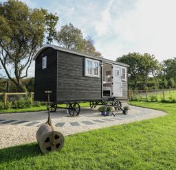 A shepherds hut with stairs on a gravel path in a grassy garden at Dragonfly Shepherd's Hut in Oakford near Aberaeron