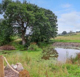 A small pond surrounded by grass and trees in a rural field at Heron Pod Nantmawr near Trefonen