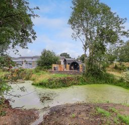 A small pond with green algae surrounded by grass and trees with a wooden pod and buildings in the background at Heron Pod in Nantmawr near Trefonen