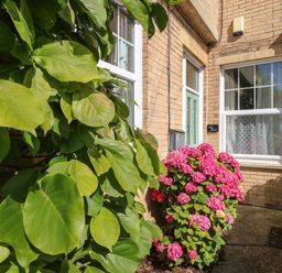 An exterior view of a brick house entrance with green leaves and pink flowers at Blue Yonder in Weymouth