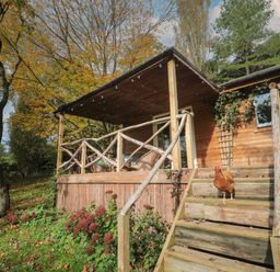 A wooden cabin with a covered porch and stairs with a chicken on the steps surrounded by trees and plants at Pear Tree Lodge in Combe near Langport