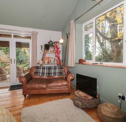 A living room with a brown leather sofa a bookshelf a television on a tree stump and large windows at Pear Tree Lodge in Combe near Langport