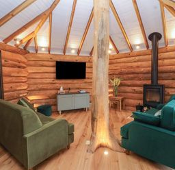 A living room with green and teal sofas a wood stove a television on a wooden wall and a central wooden pillar at Copper Lodge in Chulmleigh