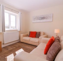 A living room with a sofa and a lamp at Country Cottage in Brecon