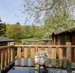A balcony with a glass table holding a bottle of wine two wine glasses and a potted plant overlooking wooden lodges and trees at Hill Lodge in Applethwaite 2 Limefitt Park near Windermere