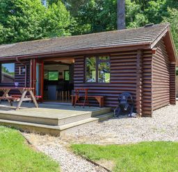 A wooden cabin with an open door leading to the interior and a picnic table on a wooden deck at Bay Tree Lodge 35 Watermouth near Berrynarbor