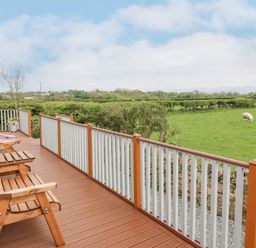 An outdoor wooden deck with chairs and a railing overlooking a green field with sheep at Y Caban in Brynsiencyn