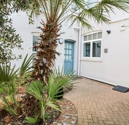 An outdoor courtyard with a palm tree and entrance door at 11 The Craighurst Southwold