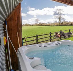 An outdoor area with a hot tub and horses by the fence at Valley View Hideaway in Ffostrasol