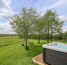 An outdoor area with a hot tub three trees and a picnic bench on grass at Holmside in Audley Brow near Market Drayton