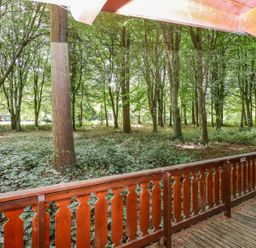 A view of a wooded area with trees and undergrowth from a wooden deck with a railing at Bamboo Retreat in Louth