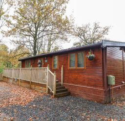 A wooden cabin with a railing and stairs surrounded by trees and fallen leaves at Tree View Lodge in Troutbeck Bridge