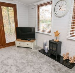 A corner of a room with a television on a low cabinet and a small stove with decorative items on a carpeted floor at Tree View Lodge in Troutbeck Bridge