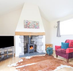 A living room with a stone fireplace and wood burning stove a red armchair a television on a stand and a cowhide rug at The Piggery in LLanfair Talhaiarn near Abergele
