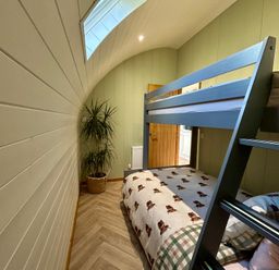 A bedroom with a bunk bed and plant at Willow in Llangurig near Llanidloes