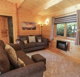 A living room with two sofas a window with curtains a wall mounted tv and an electric fireplace at Little Lodge Balminnoch near Glenluce