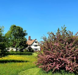 A house behind trees and flowering bushes under a clear blue sky at Packway Barn in Halesworth