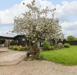 A garden with a blooming tree and a dark wood house with a patio at The Lodge at Wildersley Farm in Belper