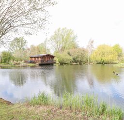 A pond with ducks and wooden lodges surrounded by trees and grass at Woodpecker Lodge in Badwell Ash